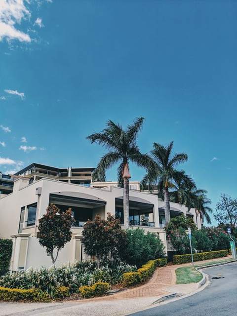 Tall palm trees in front of a Florida home